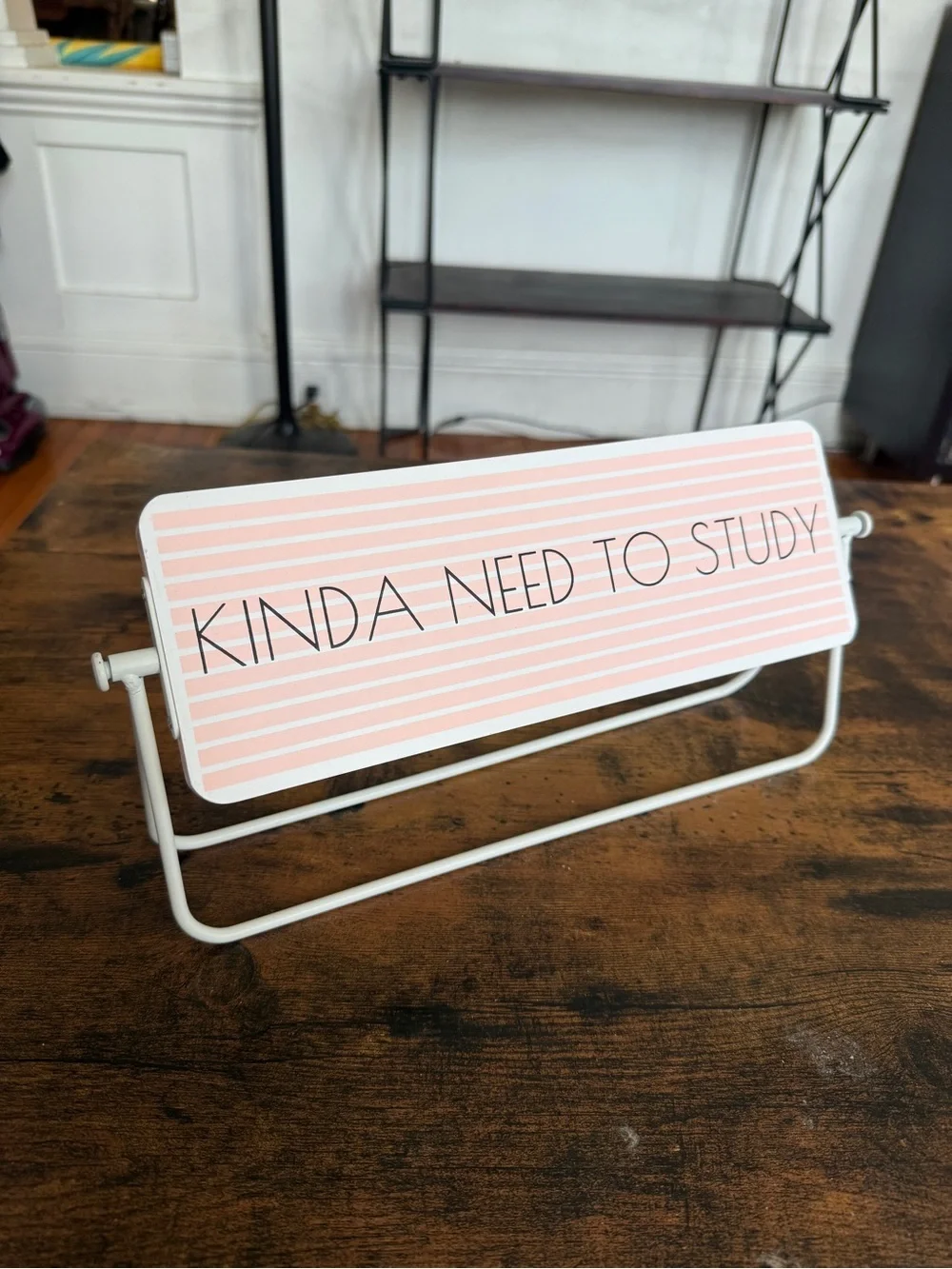 Kinda Need to Study - Want to Take a Nap Pink Desk Sign - Home Office Accent